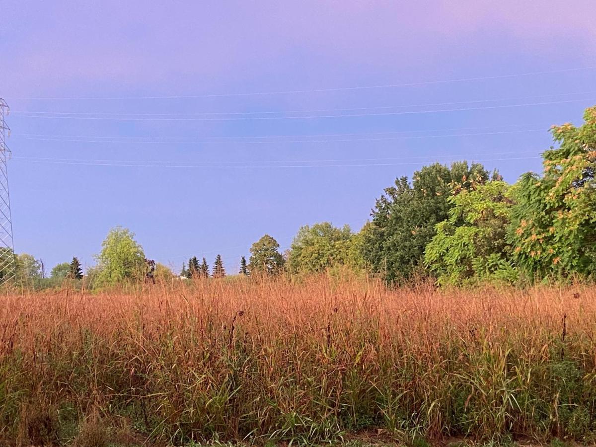 Acero Giallo Parma Exteriér fotografie