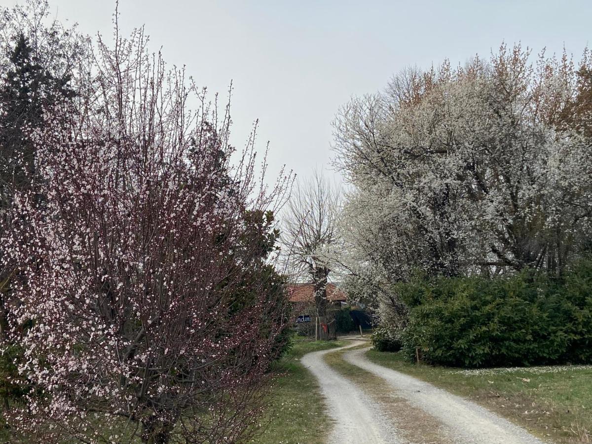 Acero Giallo Parma Exteriér fotografie
