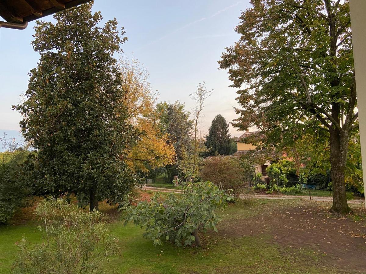 Acero Giallo Parma Exteriér fotografie