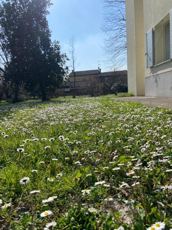Acero Giallo Parma Exteriér fotografie